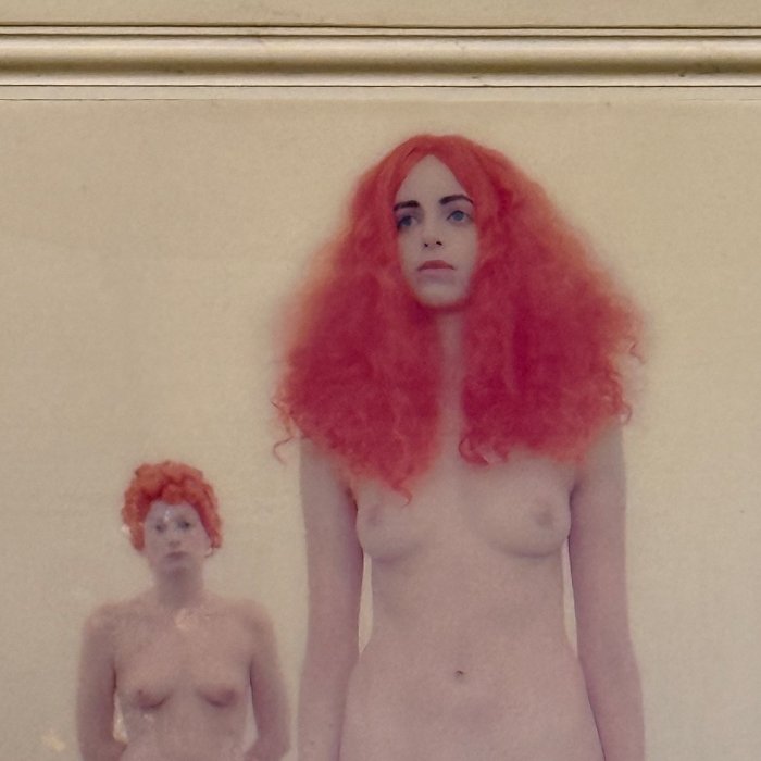 Opera di Vanessa Beecroft