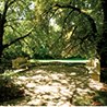 Stone benches beneath ancient trees, a shaded spot for relaxation in the park
