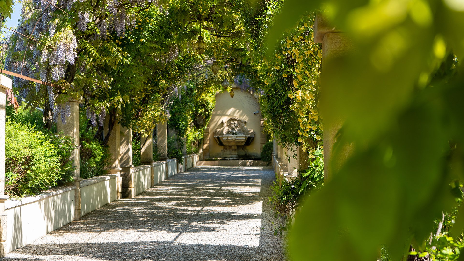 Viale alberato con glicini e fontana in pietra nel parco del Byblos Art Hotel